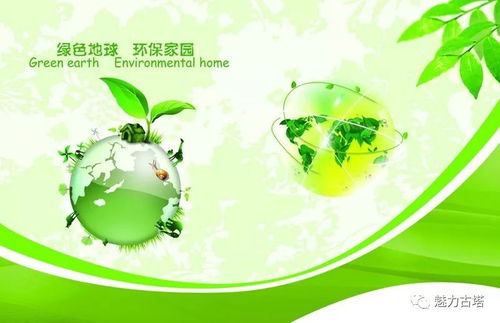 垃圾分類(lèi)我先行 爭(zhēng)做環(huán)保小達(dá)人