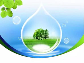 每日聚焦 保護(hù)環(huán)境是每個(gè)人的義務(wù)